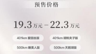 欧拉好猫2022新款电动汽车多少钱价