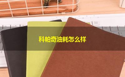 科帕奇油耗怎么样