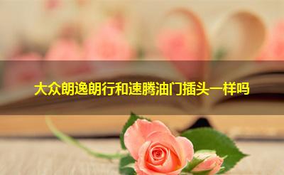 大众朗逸朗行和速腾油门插头一样吗