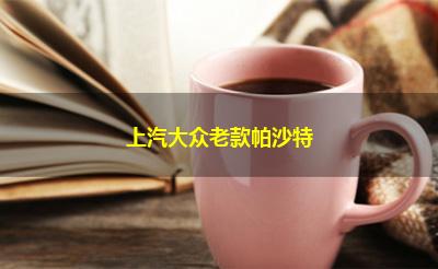 上汽大众老款帕沙特