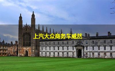 上汽大众商务车威然