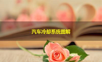 汽车冷却系统图解