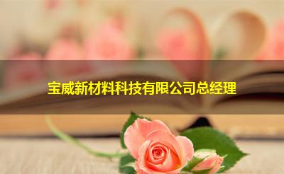 宝威新材料科技有限公司总经理