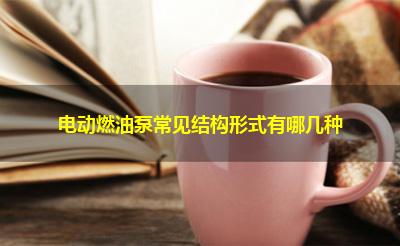 电动燃油泵常见结构形式有哪几种