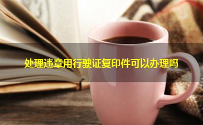 处理违章用行驶证复印件可以办理吗
