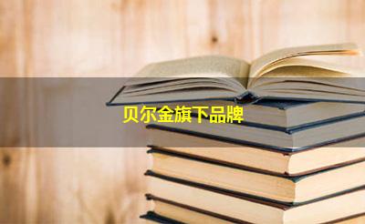 贝尔金旗下品牌