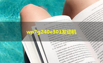 wp7g240e301发动机