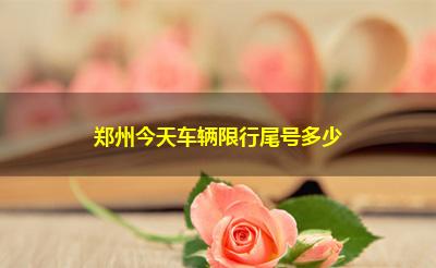 郑州今天车辆限行尾号多少
