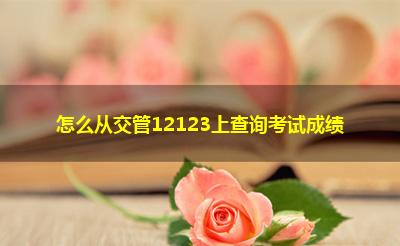 怎么从交管12123上查询考试成绩
