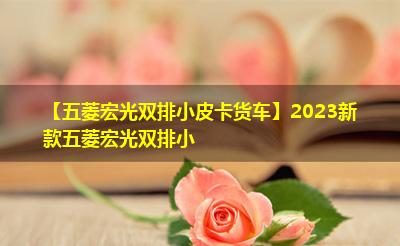 【五菱宏光双排小皮卡货车】2023新款五菱宏光双排小