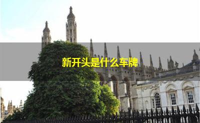 新开头是什么车牌