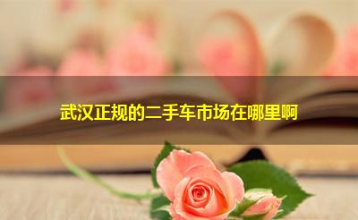 武汉正规的二手车市场在哪里啊